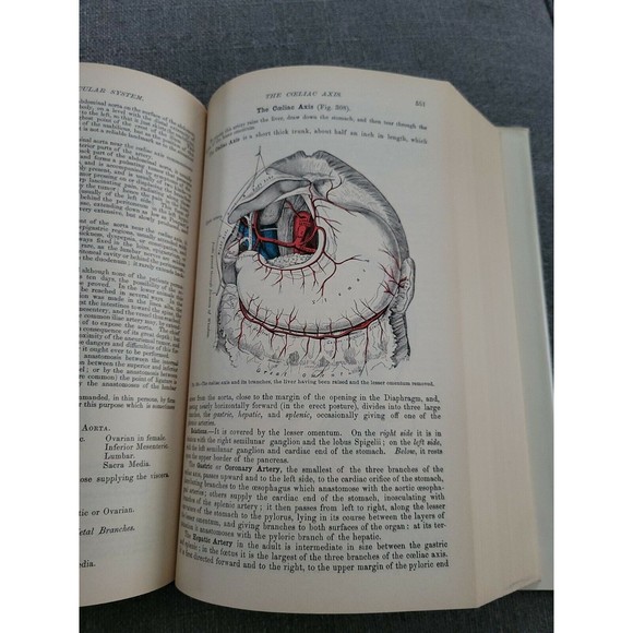 The Classic Collector's Edition Gray's Anatomy 1977 - Picture 12 of 12